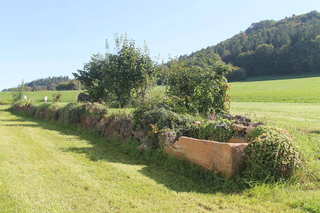 Ferienwohnung Faber in Gerolstein, Vulkaneifel