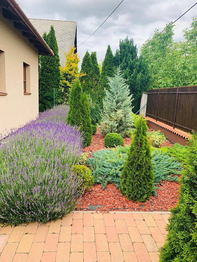 Ferienhaus für 6 Personen, mit Garten und Sauna sowie Whirlpool und Pool in Plattensee nordufer - 3