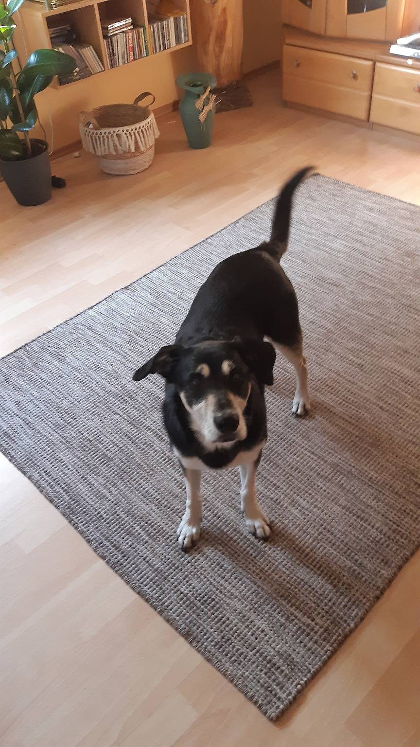 Appartement de vacances entier, Ferienwohnung Ankert in Finsterwalde, Région d'Elster