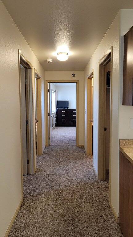 Ganze Wohnung, Downtown 4 Bed Flat in Fargo, North Dakota