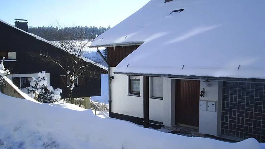Ferienhaus für 20 Personen, mit Terrasse, mit Haustier in Schmallenberg - 2