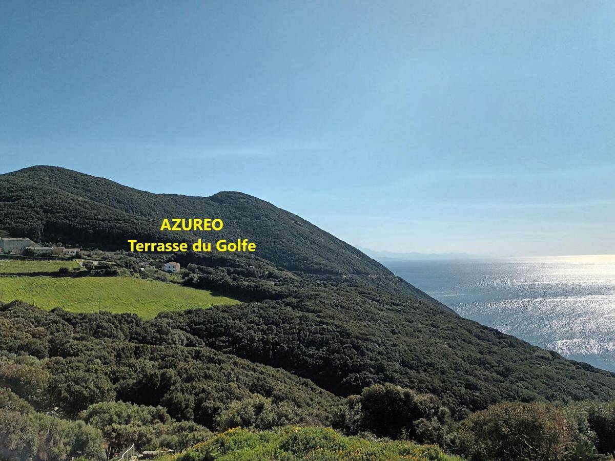 Azureo - Terrasse du golfe in Morsiglia, Cap Corse