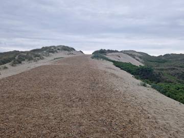 Ferienhaus für 6 Personen in Henne Strand, Dänemark an der Nordsee, Bild 4