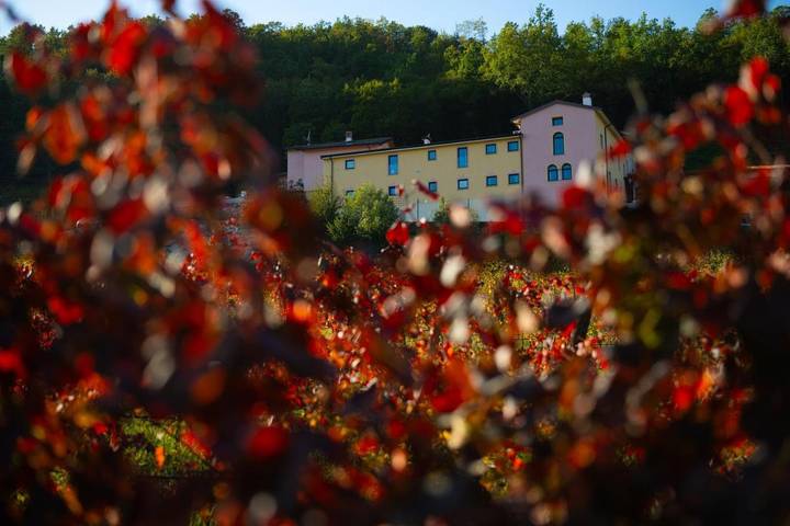 Gîte pour 5 personnes, avec piscine et jardin ainsi que vue et sauna à Prepotto - 3