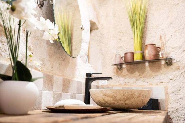 Location de vacances pour 9 personnes, avec jardin à Chançay - 3