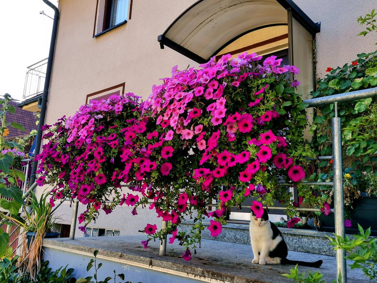 Ferienhaus "Ulbrich" mit Privatterrasse, Balkon und Wlan in Neudrossenfeld, Frankenalb
