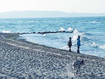 Bungalow für 6 Personen, mit Garten und Terrasse, kinderfreundlich in Niendorf