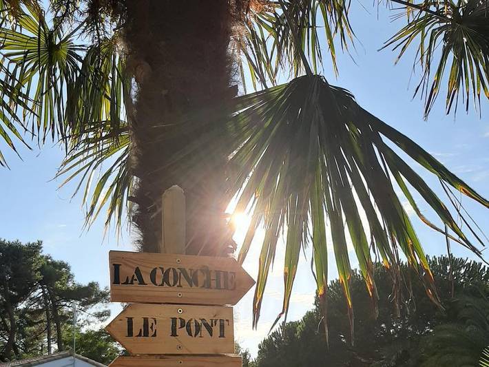 Mobil home pour 6 personnes, avec sauna à Rivedoux-Plage - 4