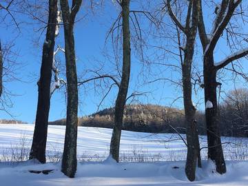 Vacation Home for 10 Guests in Warren, Green Mountain National Forest, Picture 1