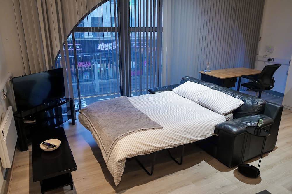 Entire apartment, Large & Modern Studio Apartment, Swansea City Centre in Swansea, Swansea region