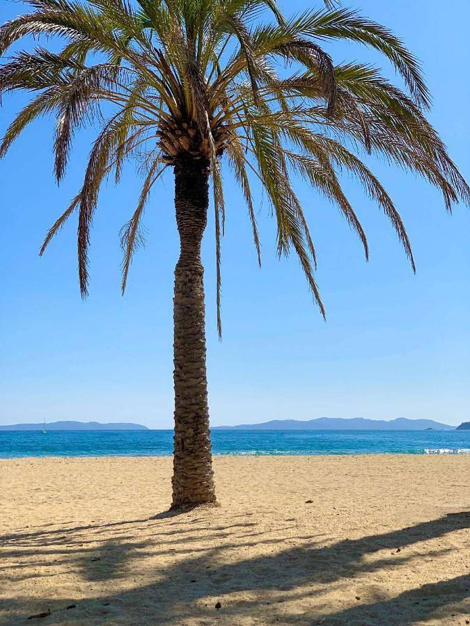 Gîte pour 4 personnes dans Plage de La Fossette - 3