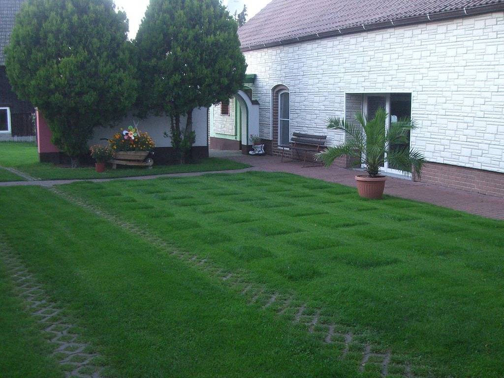 Ferienwohnung in Alt-Zauche mit Barbecue in Alt Zauche, Alt Zauche-Wußwerk