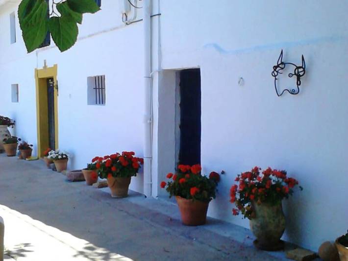 Casa rural para 14 personas, con Terraza además de Jardín y Piscina en Humilladero - 3