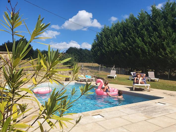 Gîte pour 14 personnes, avec piscine, animaux acceptés à Les Eyzies-de-Tayac-Sireuil - 3