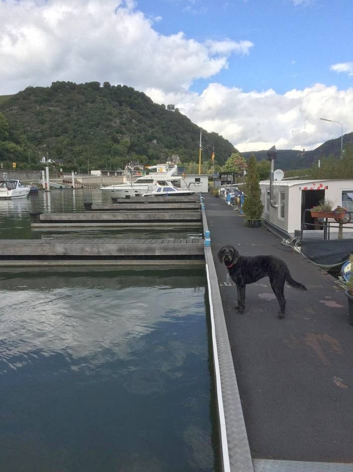 Bateau pour 3 personnes, avec balcon et vue à Sankt Goar - 2