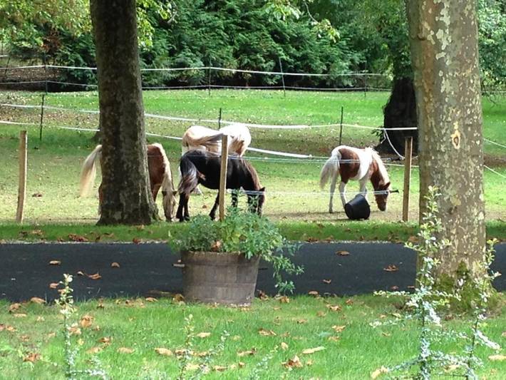 Gîte pour 5 personnes, avec jardin et vue à Saint-Germain-du-Puy