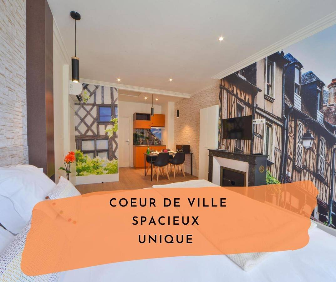 Appartement entier, Puits de Jouvence, au coeur des commerces in Bourges, Région de Bourges