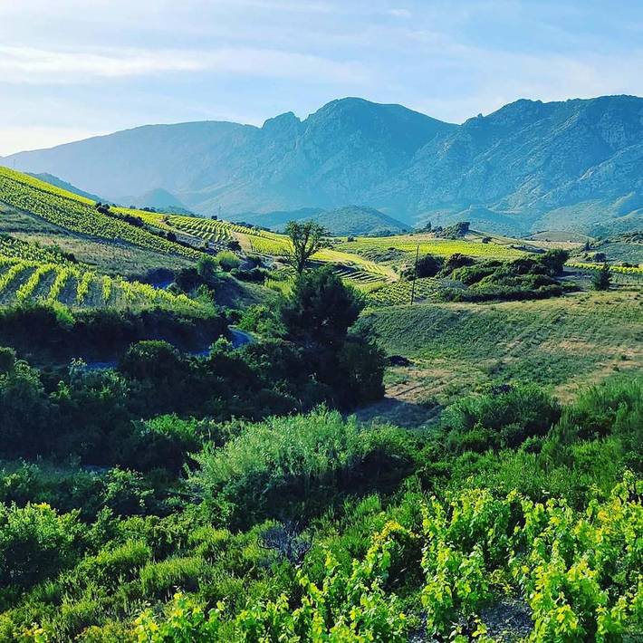 Gîte pour 3 personnes à Maury - 4