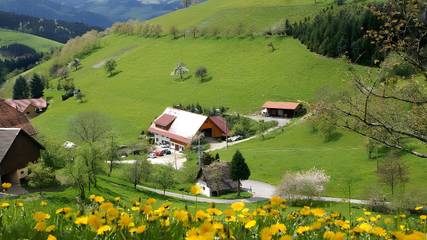 Ferienwohnung für 4 Personen in Zell am Harmersbach, Mittlerer Schwarzwald, Bild 2