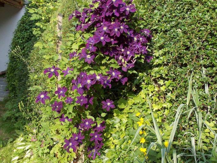 Ferienwohnung für 4 Personen, mit Terrasse und Garten, kinderfreundlich in Wildschönau - 3
