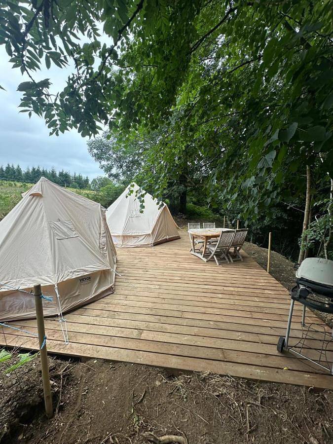 Camping pour 4 personnes, avec jardin et vue, animaux acceptés dans le Tarn - 3