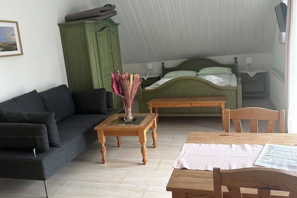 Ganze Wohnung, Apartment 3 mit 50 m2 Grosser Dachterrasse in Ostseebad Prerow, Prerow