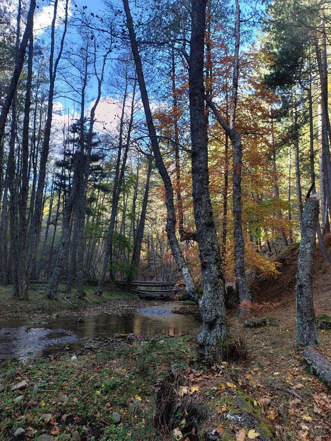 Gîte pour 5 personnes, avec terrasse ainsi que jardin et vue à San Giovanni in Fiore - 2