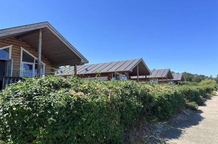 Pet friendly home in Allinge with Wifi in Sandkås, Allinge