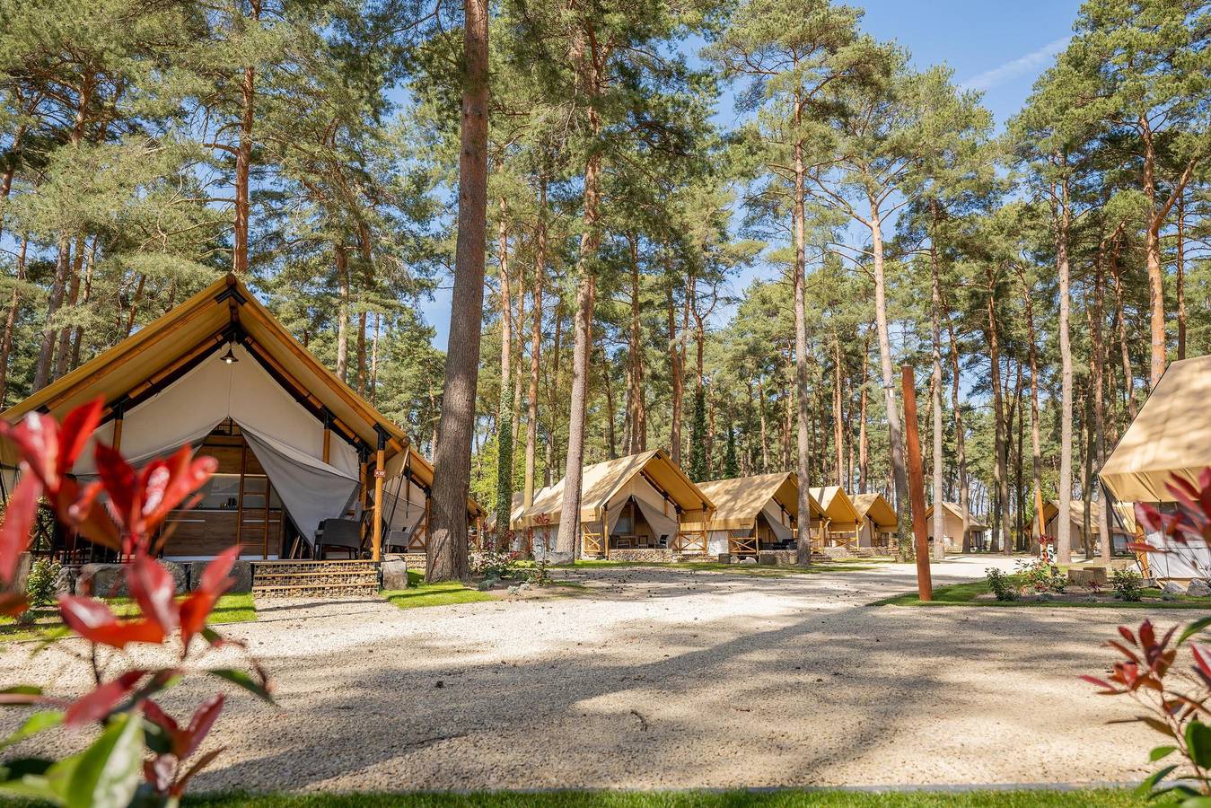 Europarcs Hoge Kempen — Glampingtent Luxe 6 in Zutendaal, Hasselt en omgeving