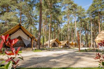 Camping para 6 Personas en Zutendaal, Flanders, Foto 4