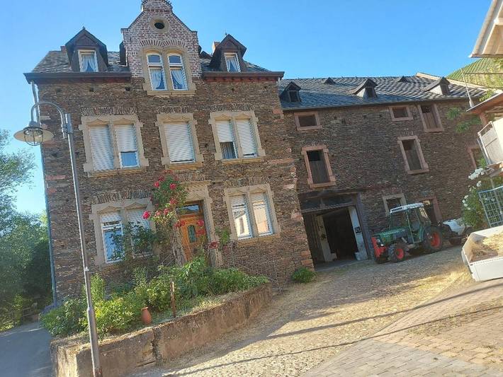 Ferienwohnung für 4 Personen, mit Garten, mit Haustier in Neumagen-Dhron - 3