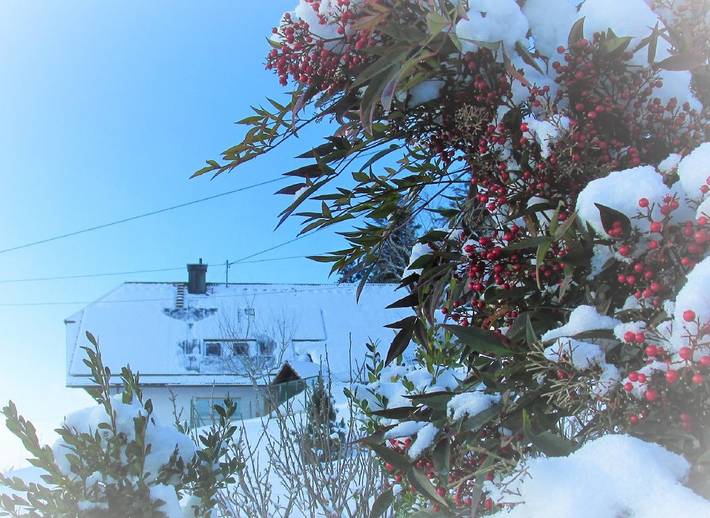 Ferienwohnung für 10 Personen, mit Garten in Bad Rippoldsau-Schapbach