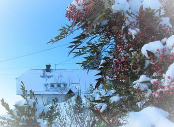 Ferienwohnung für 3 Personen, mit Garten in Bad Rippoldsau-Schapbach