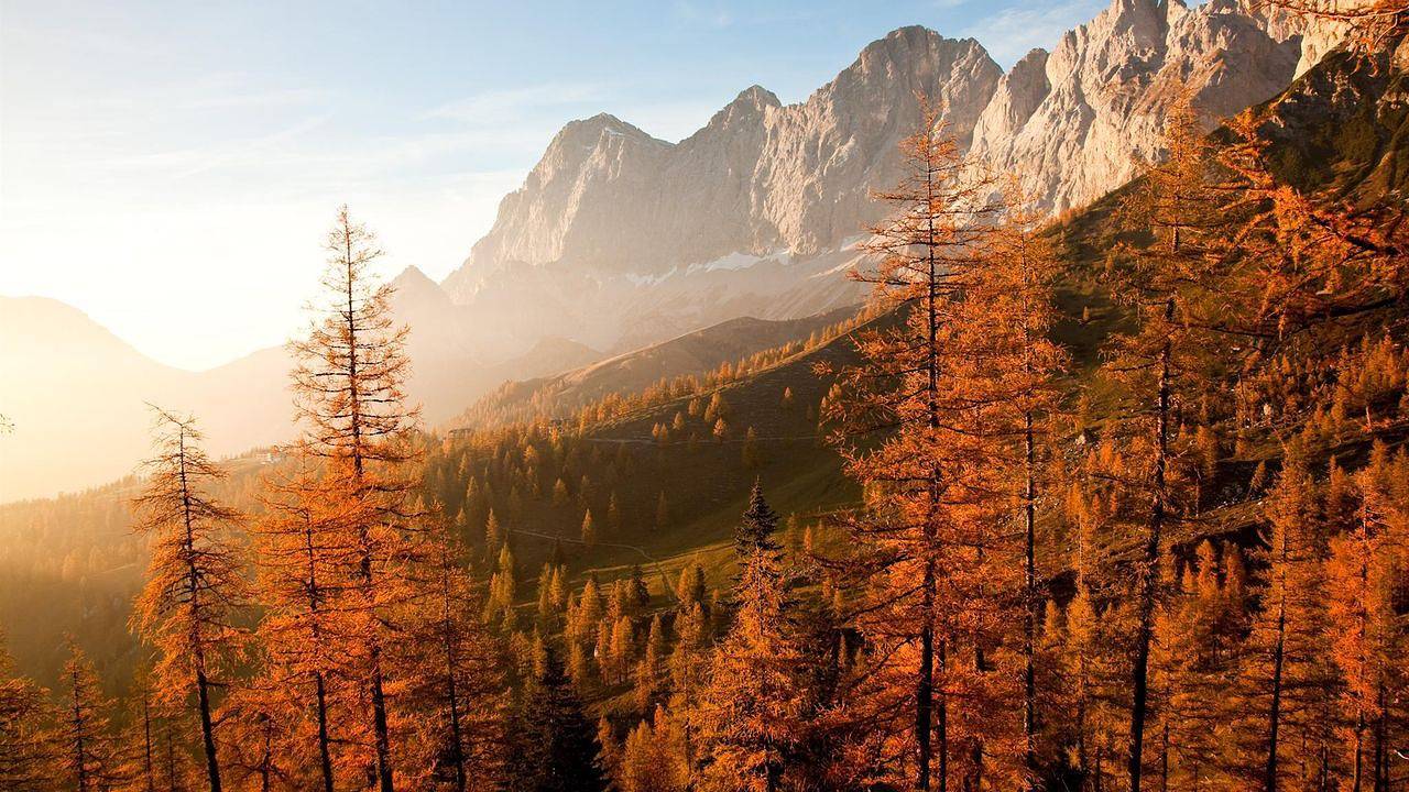Hütte für 4 Personen (100 m²) in Ramsau am Dachstein in Ramsau am Dachstein, Schladming-Dachstein