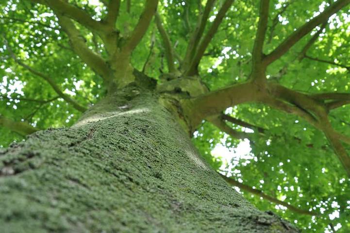 Maison de vacances pour 14 personnes, avec jardin et terrasse