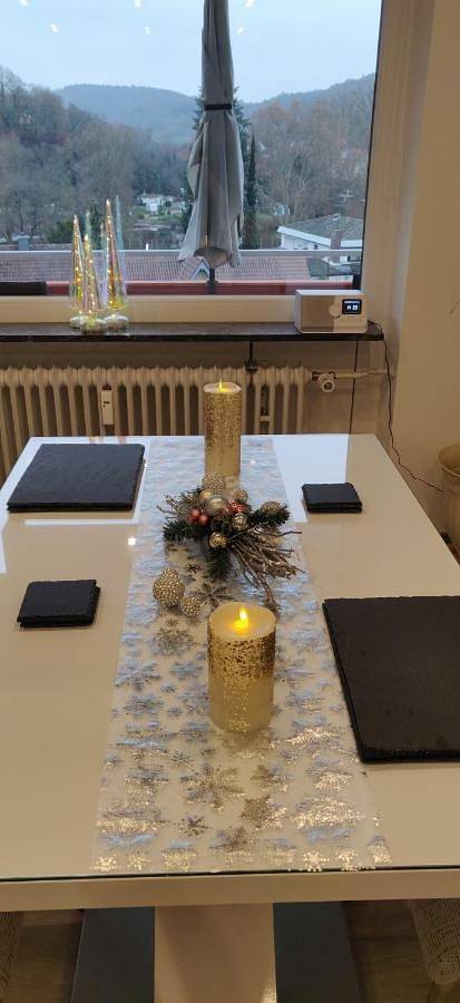 Ganze Wohnung, Appartement Schönblick Stadtteil Bad Münster Am Stein Ebernburg in Bad Münster am Stein-Ebernburg, Bad Kreuznach