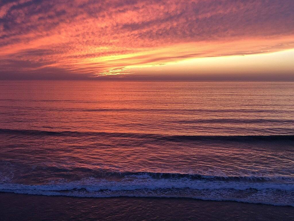 Oceanfront Dolphin Views at the Edge of the Usa. 2-Bed 1-Bath Pet-Friendly. in Encinitas, San Diego County