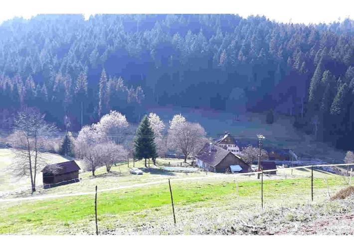 Ferienhaus für 5 Personen, mit Terrasse und Garten sowie Ausblick in Seewald