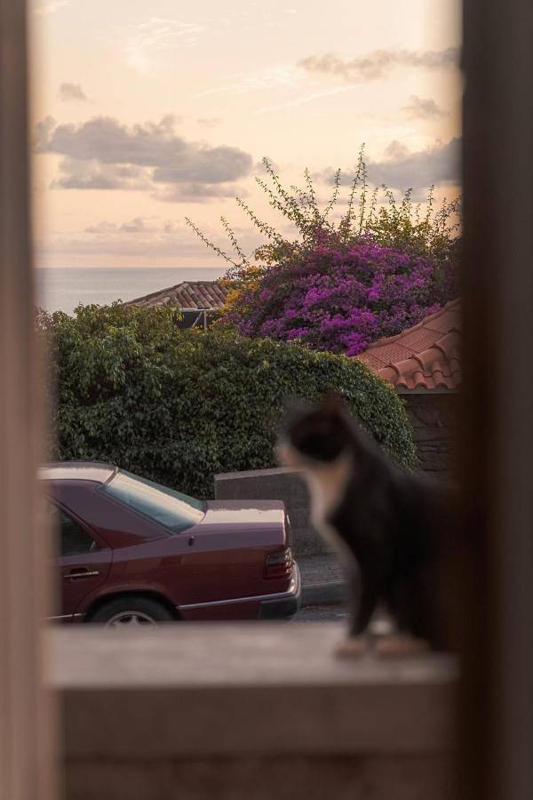 Two-Bedroom House in Jardim do Mar, Madeira