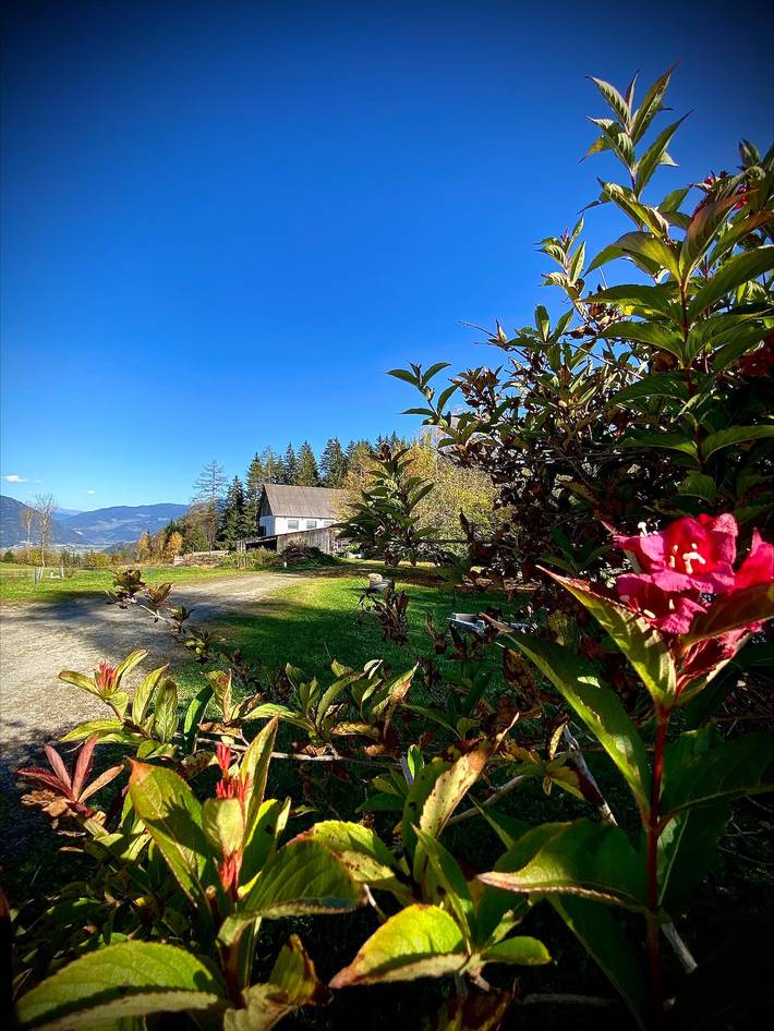 Ferienhaus für 4 Personen, mit Sauna in St. Lambrecht - 2