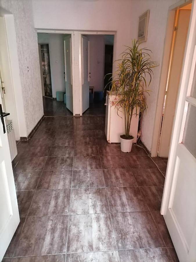 Maison d’hôte pour 2 personnes, avec terrasse et jardin, animaux acceptés dans Палић - 2