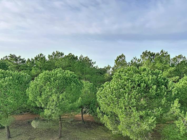 Appartement entier, L'Ermitage in Saint-Brevin-les-Pins, Côte de Jade