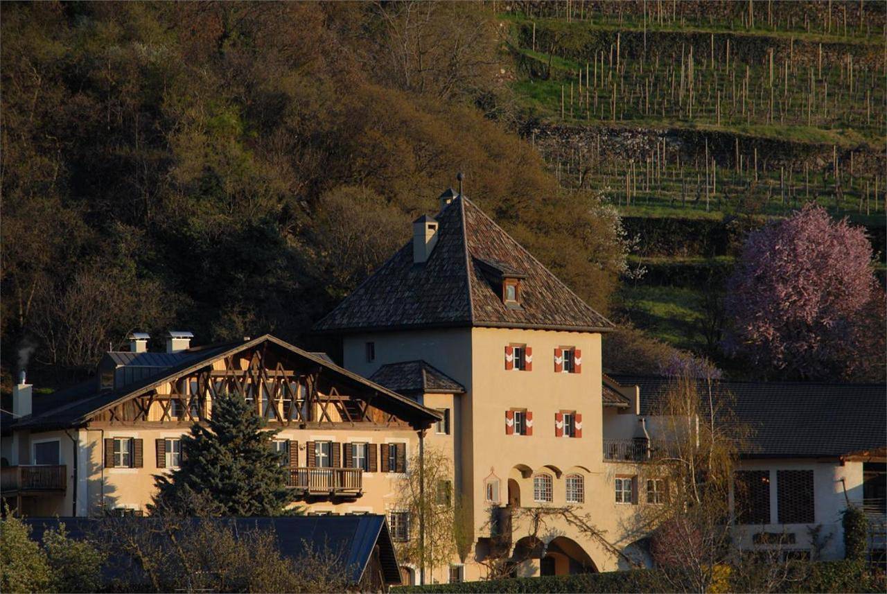 Ganze Wohnung, Weingut Köfelgut - Turris Vini in Kastelbell, Kastelbell-Tschars
