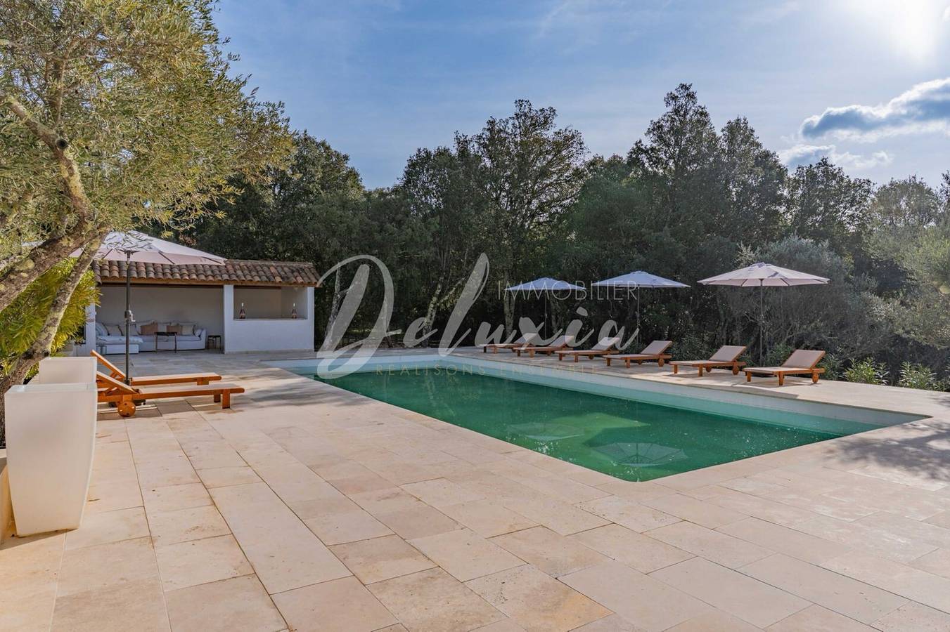 Guesthouse "La Vigie" with Mountain View, Wi-Fi and Air Conditioning in Le Thoronet, Draguignan region