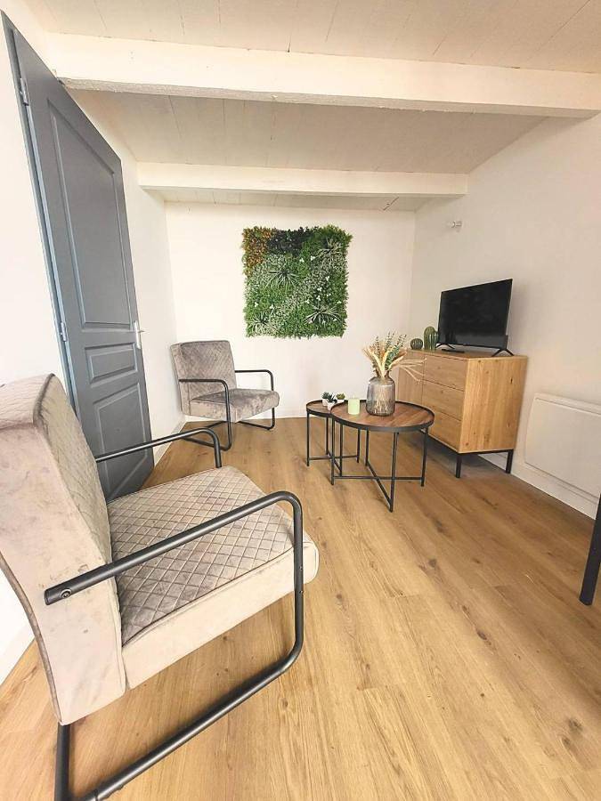 Appartement entier, One-Bedroom Apartment with Terrace in Bourg-Argental, Parc Naturel Régional du Pilat