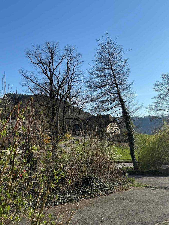 Bed & Breakfast Müllers Klostermühle in Obermünstertal, Münstertal