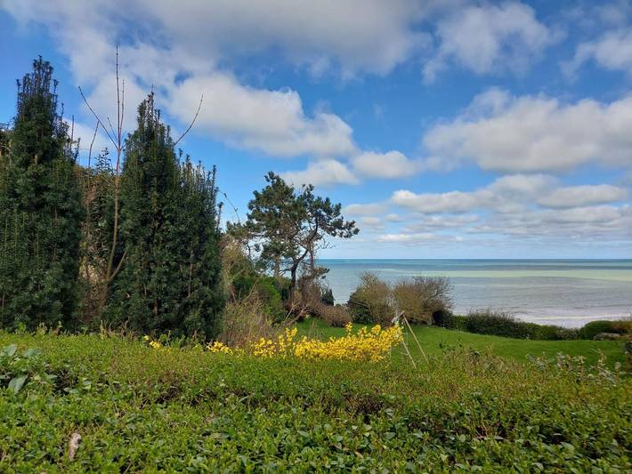 Location de vacances pour 6 personnes, avec jardin, animaux acceptés à Hautot-sur-Mer - 4