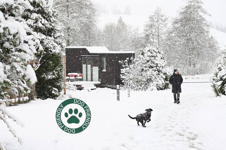 Ferienhaus für 4 Personen, mit Ausblick und Sauna sowie Garten, mit Haustier im Harz