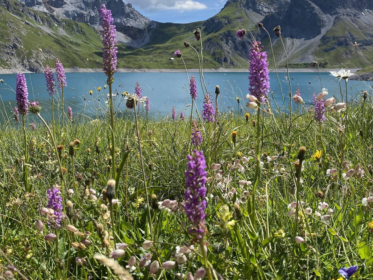 Ganze Ferienwohnung, Föhrenhof - Fewo Brügga (1A) in Rätikon Gebirgsgruppe, Brand