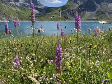 Bauernhof für 4 Personen in Brand, Brandnertal, Bild 1